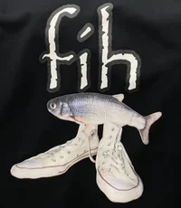 fih