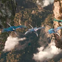 14 - AVATAR divider