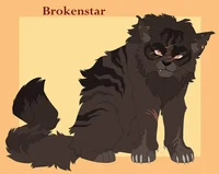 WC - BrokenStar
