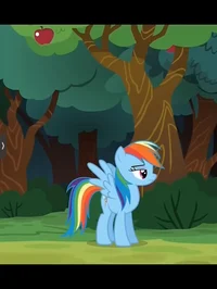 Rainbow Dash 