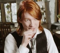 Bill Weasley 