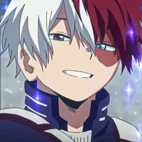 Shoto todoroki 