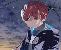 Shoto Todoroki 