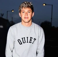 Niall Horan 2013