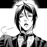 Sebastian Michaelis 