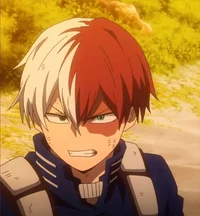 MHA- Shoto Todoroki 