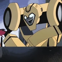 Bumblebee TFA