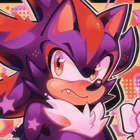 SHADOW T HEDGEHOG 
