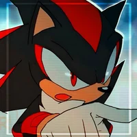 SHADOW T HEDGEHOG 