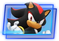 Shadow The Hedgehog 