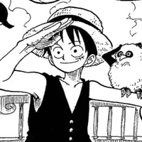 Monkey D Luffy 
