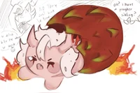 BABY Pitaya Cookie