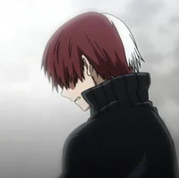 Shoto Todoroki