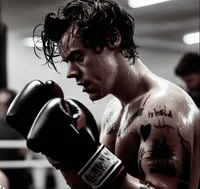 harry styles - boxer