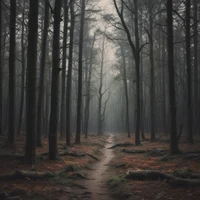 The World of Wonders