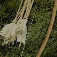 01 BURDOCK EVERDEEN