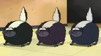 Skunk bombs 