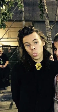 Harry Styles 2015