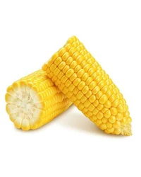 Corn