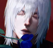 Vergil