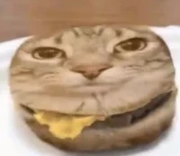 burgercat16