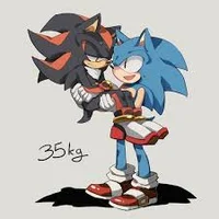 Sonic e shadow