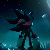 SHADOW T HEDGEHOG 