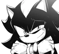 SHADOW T HEDGEHOG 