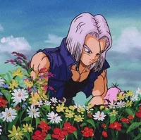 Future Trunks
