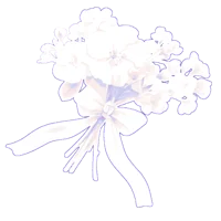 143 - BORDER