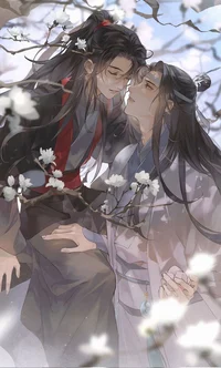 08 - a MDZS divider