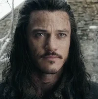 LOTR Bard the Bowman