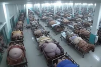 City of Bad Health 2