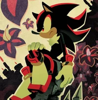 Shadow The Hedgehog