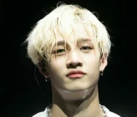 Bang Chan 