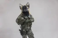 Millitary Furry