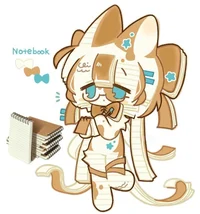Notebook
