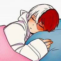 Shoto Todoroki 