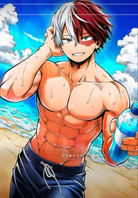 Shoto todoroki