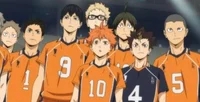 Karasuno rp