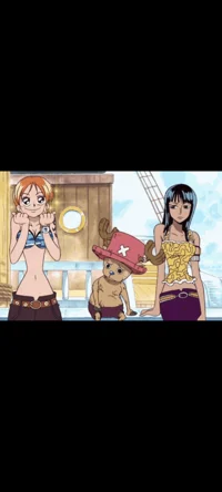 Nami-Robin-Chopper 