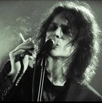 ville valo
