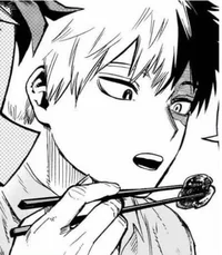 Shoto Todoroki ADULT