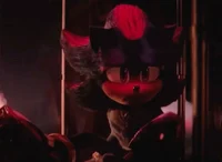 SHADOW T HEDGEHOG 
