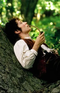 Frodo Baggins 