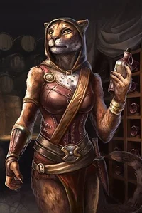 The Khajiit witch