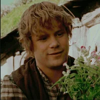 Samwise Gamgee