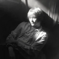 ваня дипинс