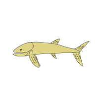 AU-Leedsichthys 