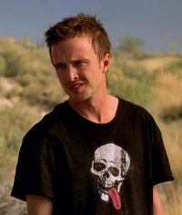JESSE PINKMAN